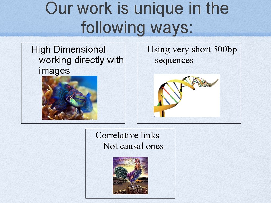 Our work is unique in the following ways: High Dimensional working directly with images