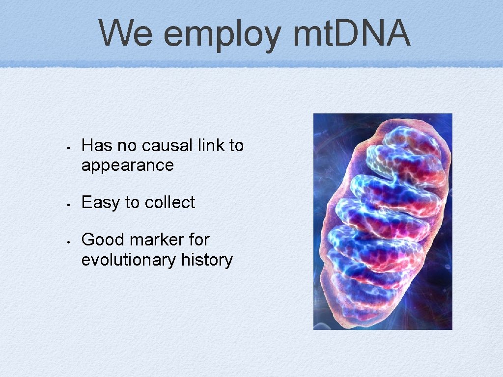 We employ mt. DNA • • • Has no causal link to appearance Easy