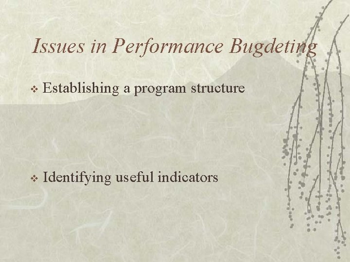 Issues in Performance Bugdeting v Establishing a program structure v Identifying useful indicators 