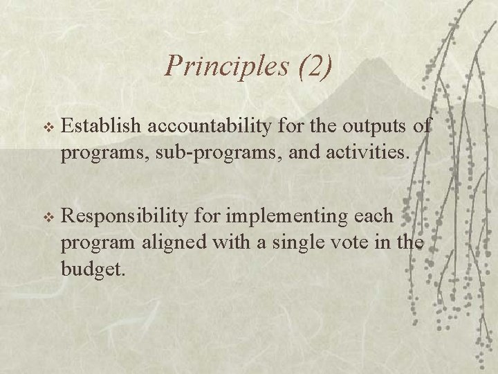 Principles (2) v Establish accountability for the outputs of programs, sub-programs, and activities. v
