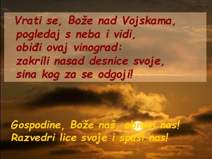 Vrati se, Bože nad Vojskama, pogledaj s neba i vidi, obiđi ovaj vinograd: zakrili