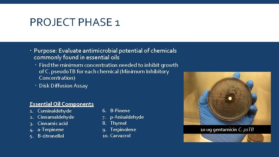 PROJECT PHASE 1 Purpose: Evaluate antimicrobial potential of chemicals commonly found in essential oils