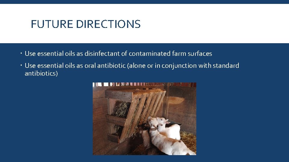 FUTURE DIRECTIONS Use essential oils as disinfectant of contaminated farm surfaces Use essential oils