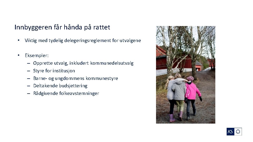 Innbyggeren får hånda på rattet • Viktig med tydelig delegeringsreglement for utvalgene • Eksempler: