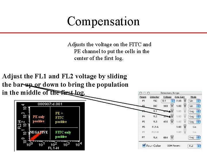 Compensation Adjusts the voltage on the FITC and PE channel to put the cells