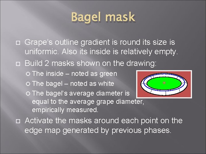 Bagel mask Grape’s outline gradient is round its size is uniformic. Also its inside