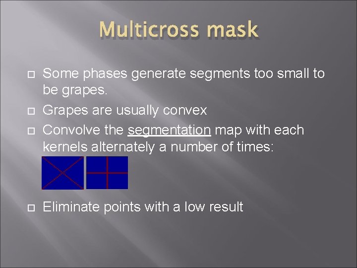 Multicross mask Some phases generate segments too small to be grapes. Grapes are usually