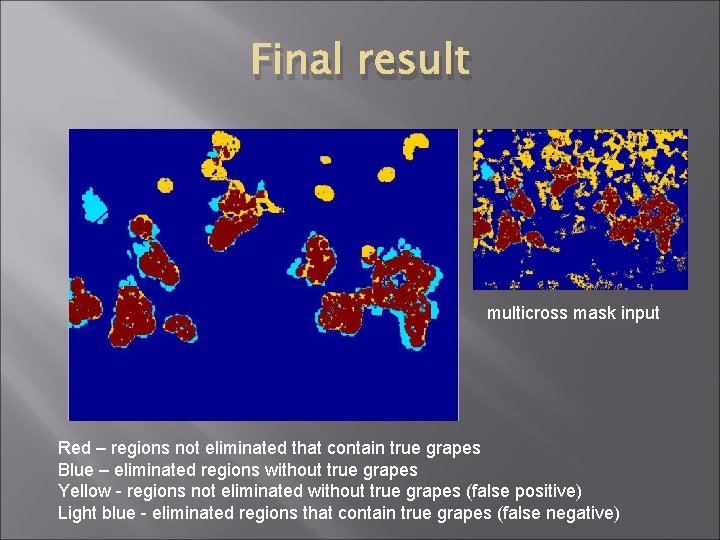 Final result multicross mask input Red – regions not eliminated that contain true grapes