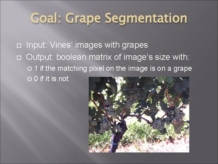 Goal: Grape Segmentation Input: Vines’ images with grapes Output: boolean matrix of image’s size