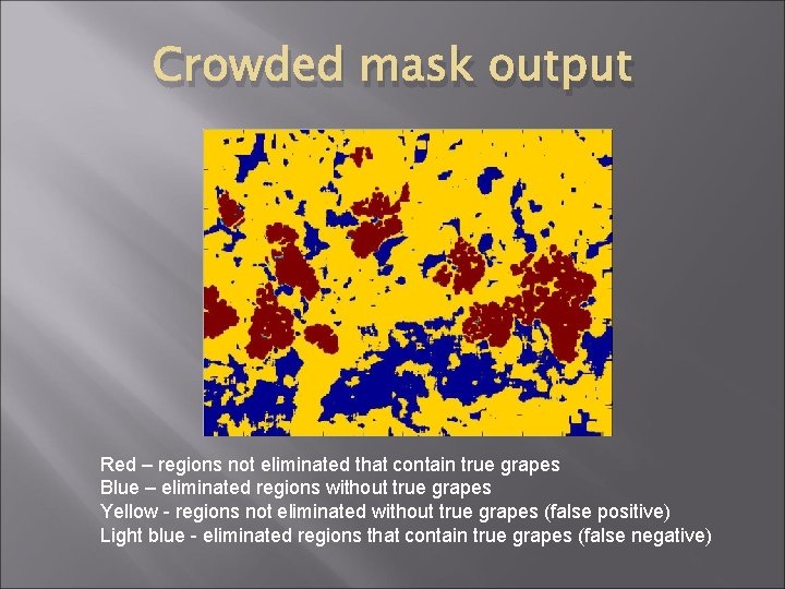 Crowded mask output Red – regions not eliminated that contain true grapes Blue –