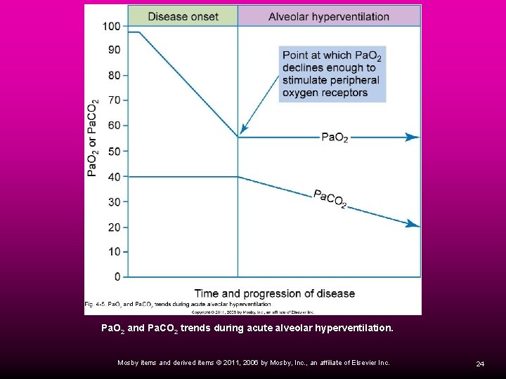Pa. O 2 and Pa. CO 2 trends during acute alveolar hyperventilation. Mosby items