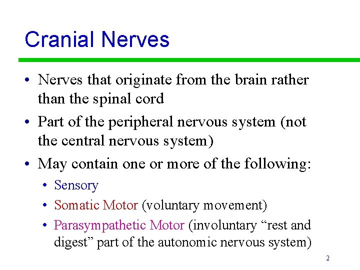 Cranial Nerves • Nerves that originate from the brain rather than the spinal cord