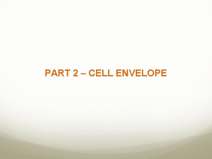 PART 2 – CELL ENVELOPE 