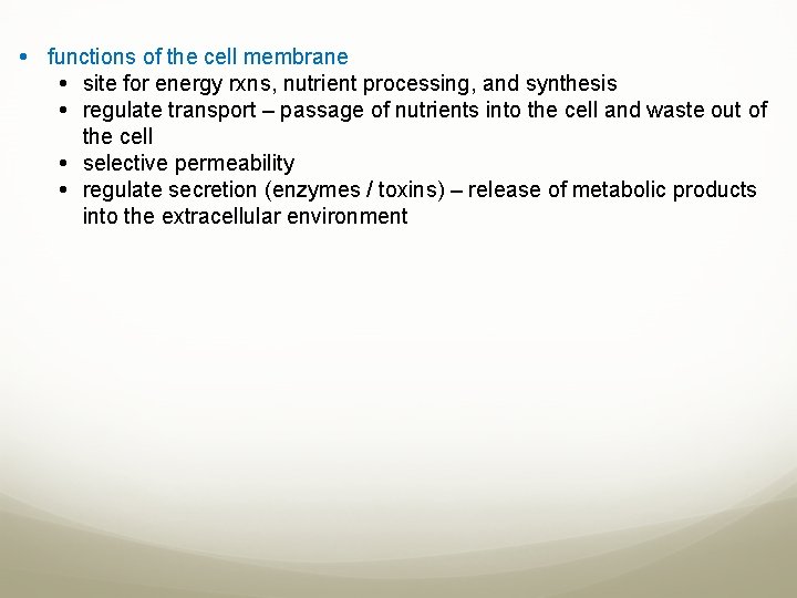  functions of the cell membrane site for energy rxns, nutrient processing, and synthesis