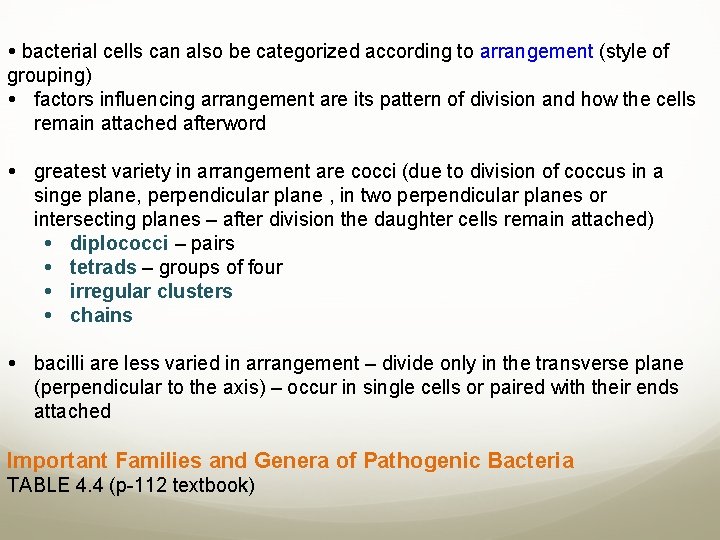 bacterial cells can also be categorized according to arrangement (style of grouping) factors