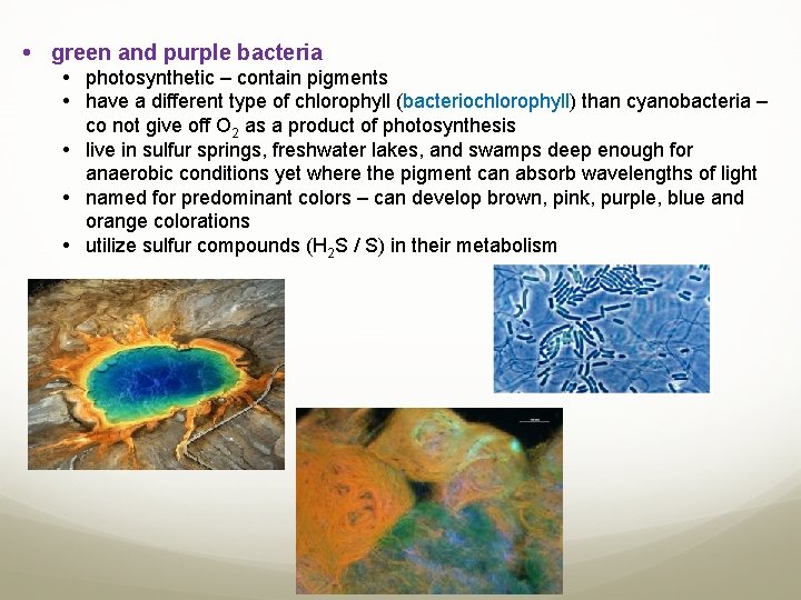  green and purple bacteria photosynthetic – contain pigments have a different type of