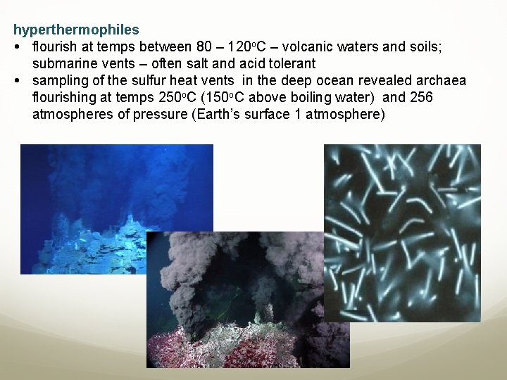 hyperthermophiles flourish at temps between 80 – 120 o. C – volcanic waters and