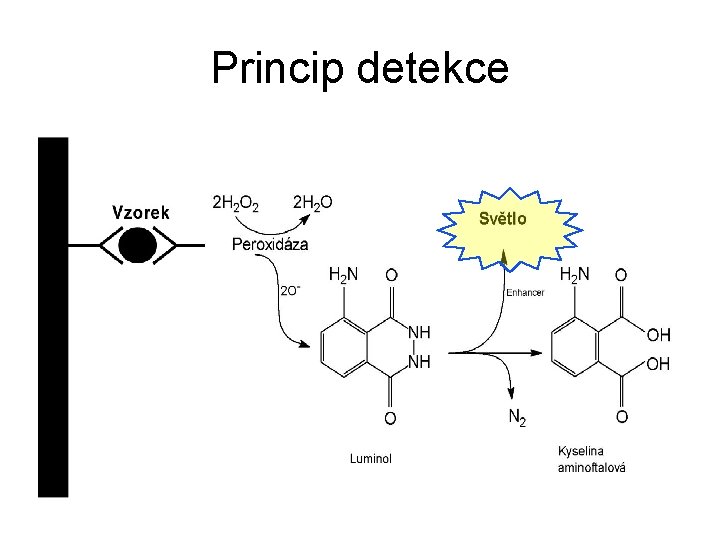 Princip detekce 