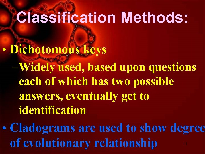 Classification Methods: • Dichotomous keys –Widely used, based upon questions each of which has
