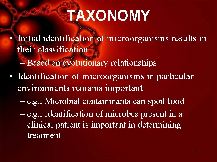 TAXONOMY • Initial identification of microorganisms results in their classification – Based on evolutionary