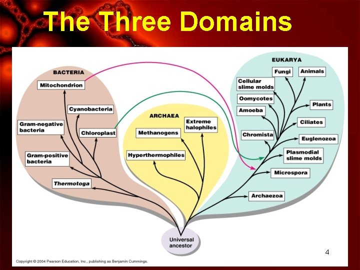 The Three Domains 4 