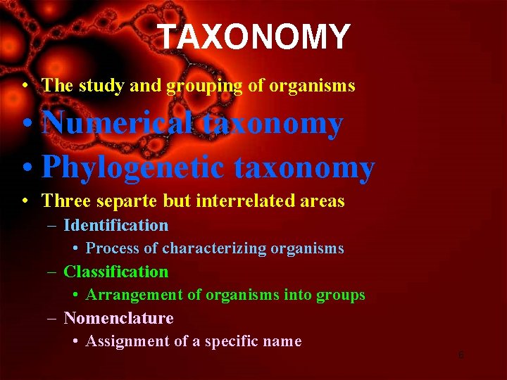 TAXONOMY • The study and grouping of organisms • Numerical taxonomy • Phylogenetic taxonomy