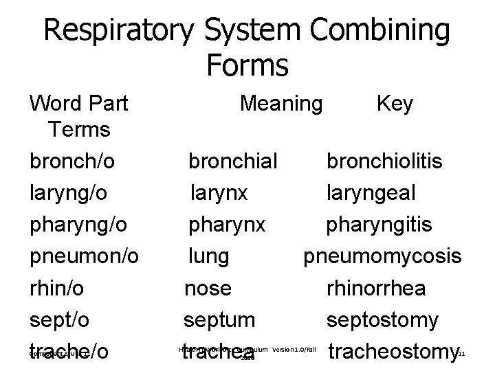 Respiratory System Combining Forms Word Part Terms bronch/o laryng/o pharyng/o pneumon/o rhin/o sept/o trache/o Respiratory System Combining Forms Word Part Terms bronch/o laryng/o pharyng/o pneumon/o rhin/o sept/o trache/o