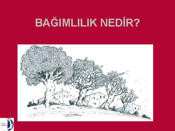 BAĞIMLILIK NEDİR? 