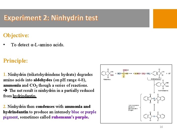 Experiment 2: Ninhydrin test Objective: • To detect α-L-amino acids. Principle: 1. Ninhydrin (triketohydrindene