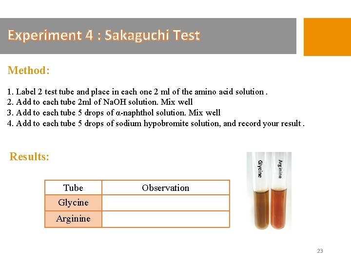 Experiment 4 : Sakaguchi Test Method: 1. Label 2 test tube and place in