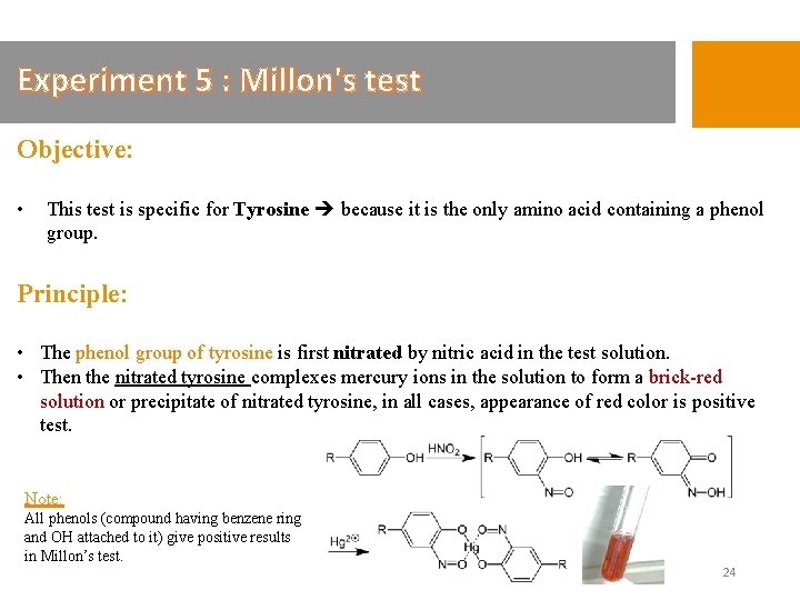 Experiment 5 : Millon's test Objective: • This test is specific for Tyrosine because