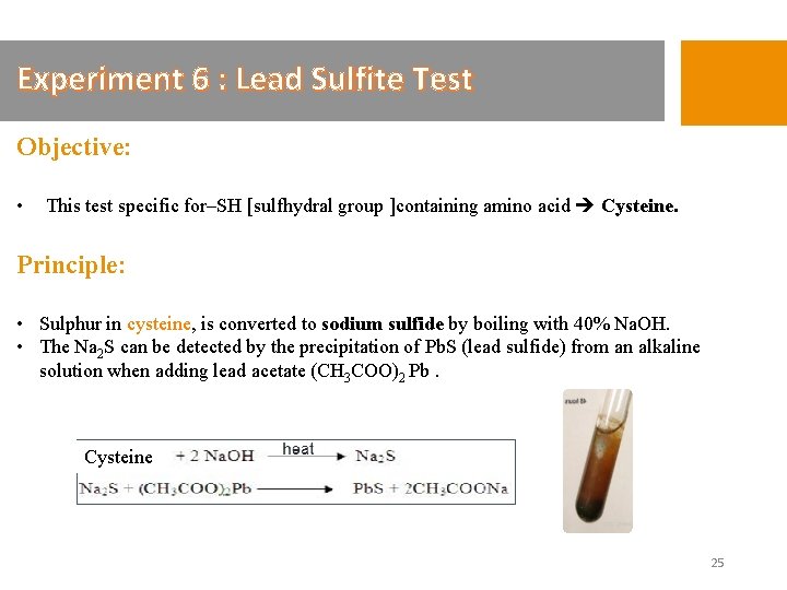 Experiment 6 : Lead Sulfite Test Objective: • This test specific for–SH [sulfhydral group