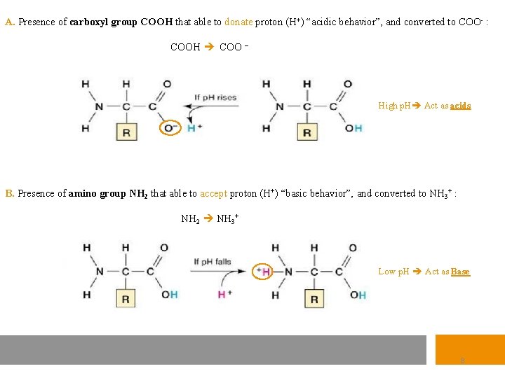 A. Presence of carboxyl group COOH that able to donate proton (H+) “acidic behavior”,