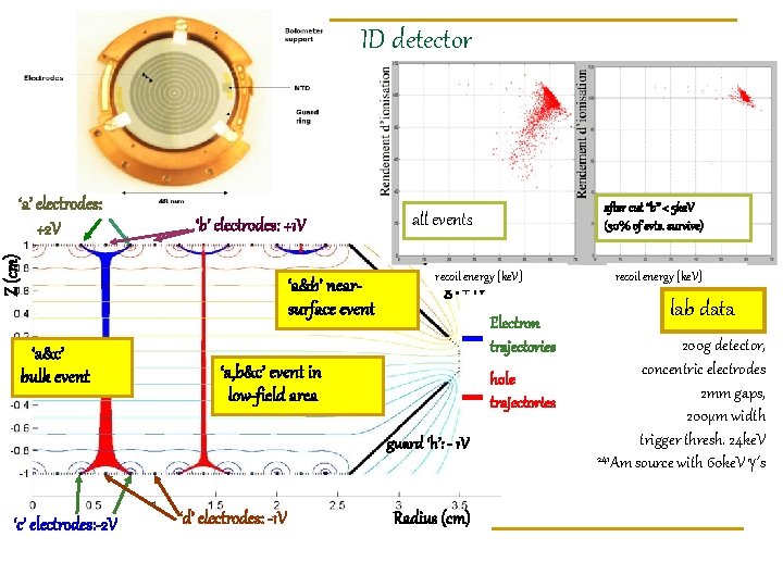 ID detector ‘b’ electrodes: +1 V Z (cm) ‘a’ electrodes: +2 V ‘a&c’ bulk
