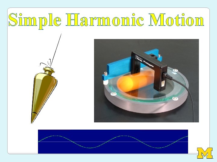 Simple Harmonic Motion 
