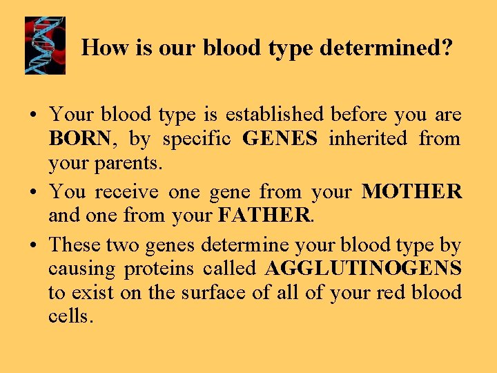 How is our blood type determined? • Your blood type is established before you
