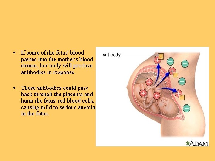  • If some of the fetus' blood passes into the mother's blood stream,