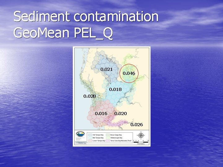 Sediment contamination Geo. Mean PEL_Q 0. 021 0. 046 0. 018 0. 028 0.