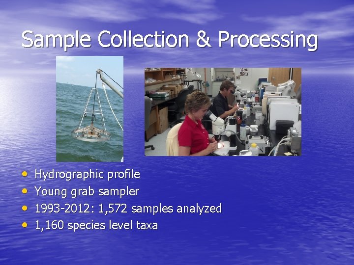 Sample Collection & Processing • • Hydrographic profile Young grab sampler 1993 -2012: 1,