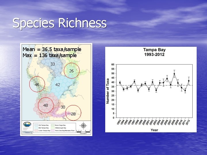 Species Richness Mean = 36. 5 taxa/sample Max = 136 taxa/sample 33 26 46