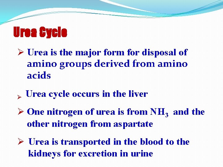 Urea Cycle Ø Urea is the major form for disposal of amino groups derived