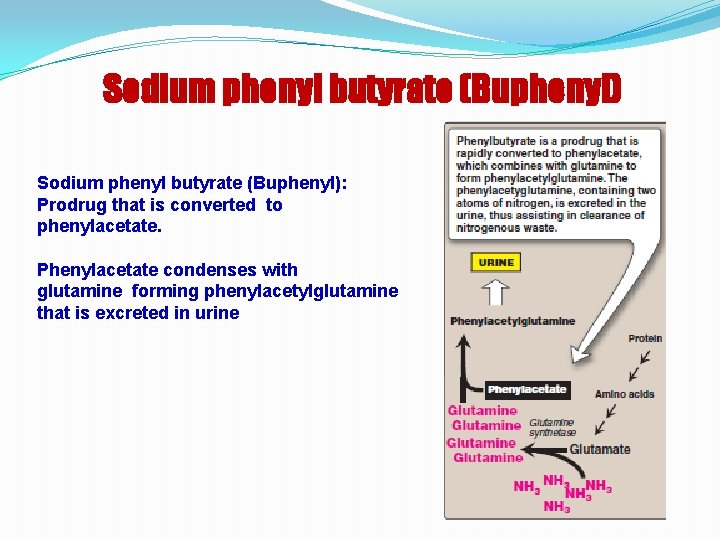 Sodium phenyl butyrate (Buphenyl): Prodrug that is converted to phenylacetate. Phenylacetate condenses with glutamine