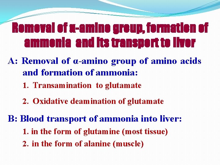 Removal of α-amino group, formation of ammonia and its transport to liver A: Removal