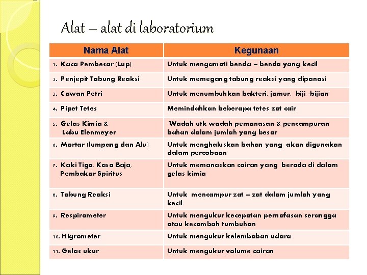 Alat – alat di laboratorium Nama Alat Kegunaan 1. Kaca Pembesar (Lup) Untuk mengamati