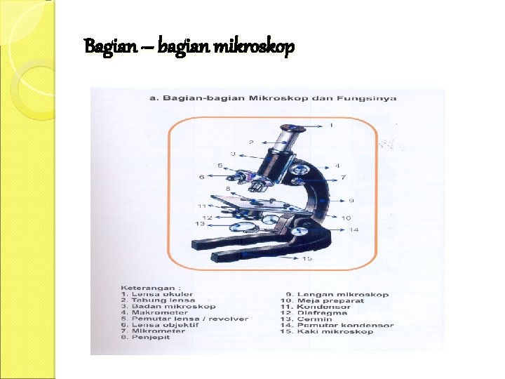 Bagian – bagian mikroskop 