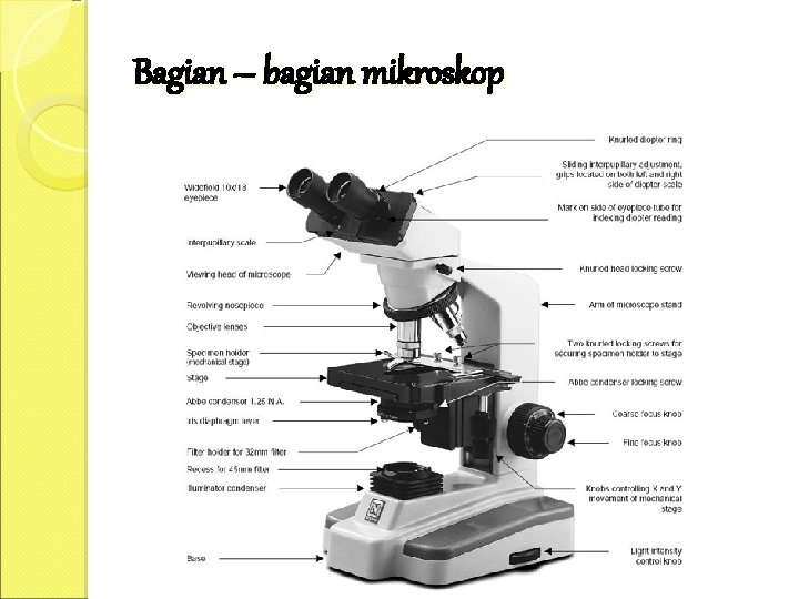 Bagian – bagian mikroskop 
