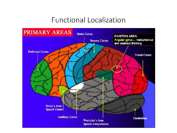 Functional Localization 