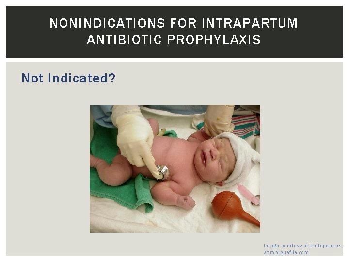 NONINDICATIONS FOR INTRAPARTUM ANTIBIOTIC PROPHYLAXIS Not Indicated? Image courtesy of Anitapeppers at morguefile. com