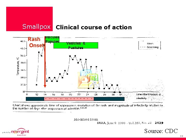 Smallpox Clinical course of action Rash Macules Papules Onset Vesicles & Pustules Modified from