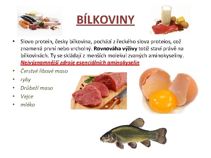 BÍLKOVINY • Slovo protein, česky bílkovina, pochází z řeckého slova proteios, což znamená první